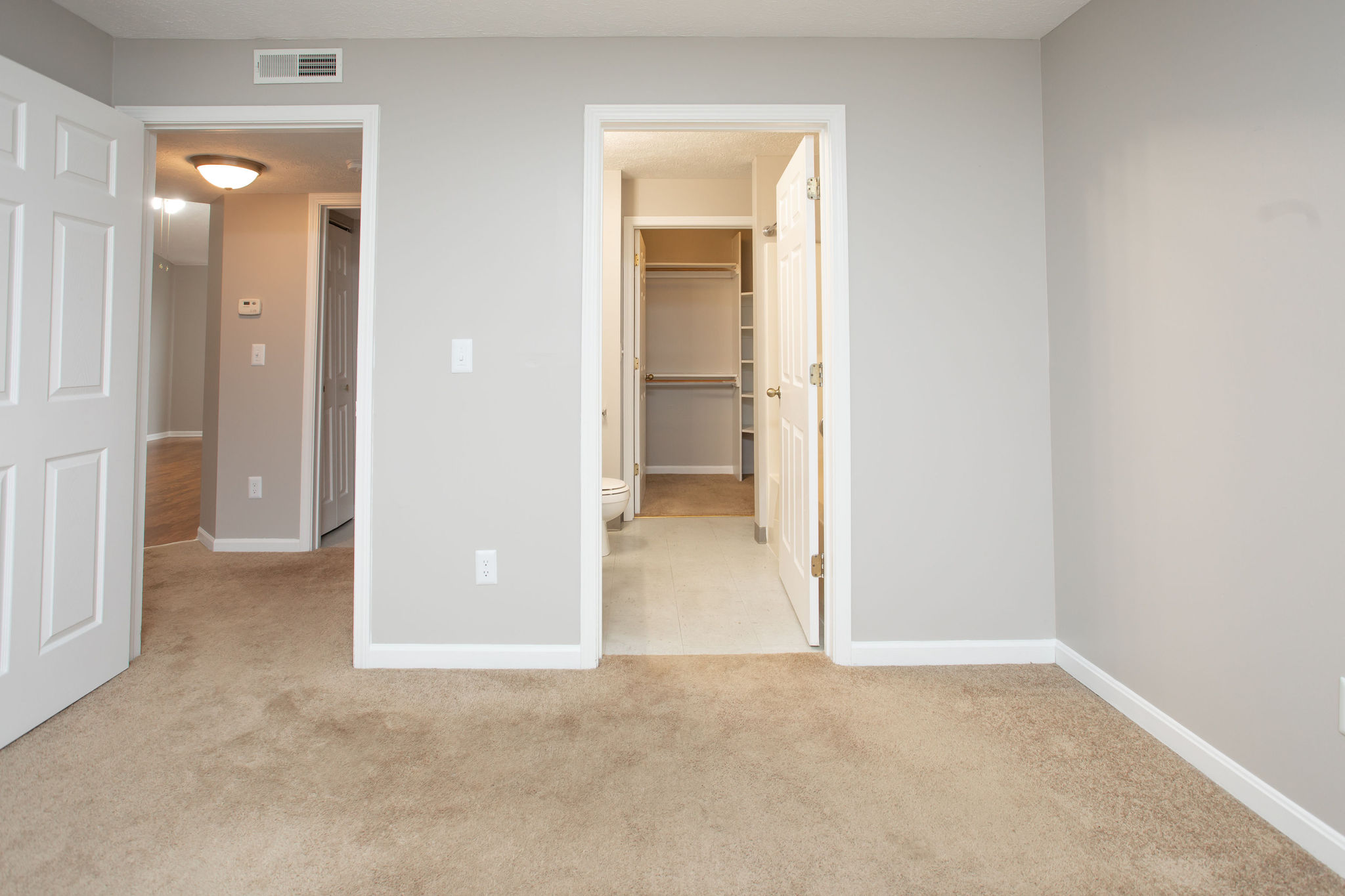 Bedroom with Walk-in Closet
