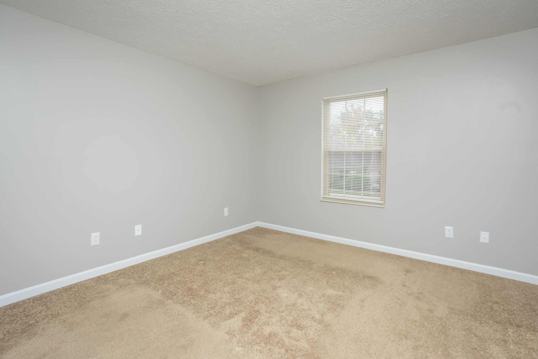Comfortable Bedroom